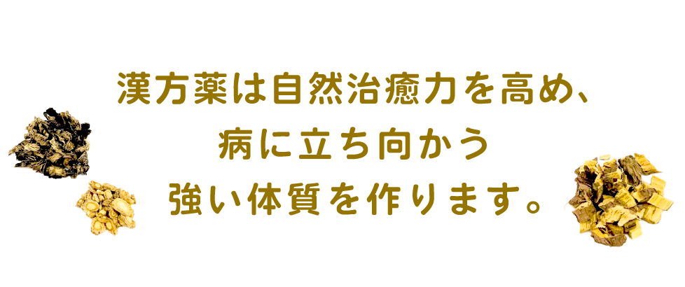 漢方薬は自然治癒を高め、病に立ち向かう強い体質をつくります。